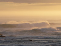 Big Surf 16th Beach Rye